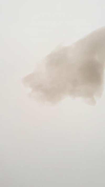 Cloud-like object floating in my street