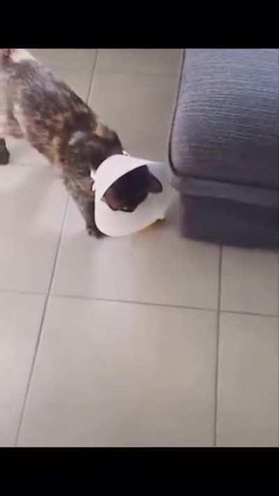 Wait for it ...... Now!