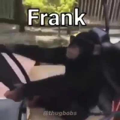 Frank 😎😎😎