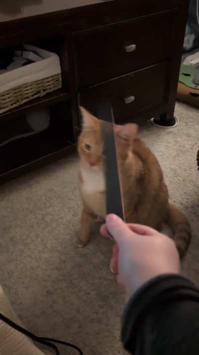 Slap the nail board Sam, get it!