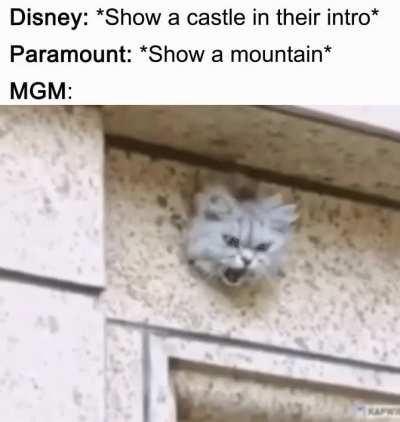 You can hear the roar