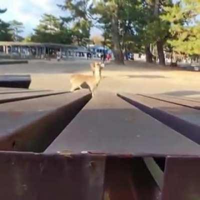 Surprise motherf**ker