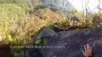 Rock Climber Fights Off Bear Attack