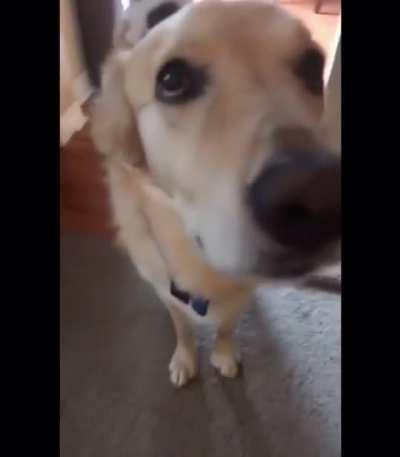 Best friends forever ♥️