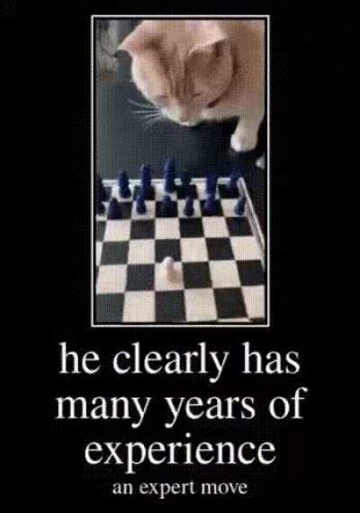 Truly an expert move