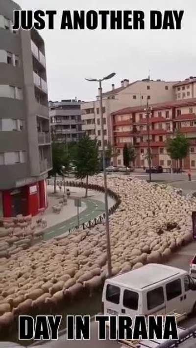 Typical day in Albania