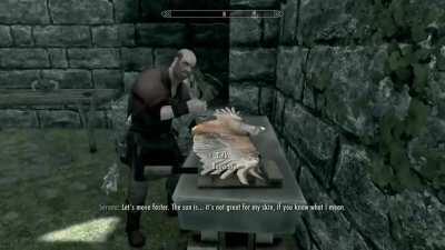 The birds are government spies sent by the Thalmor!
