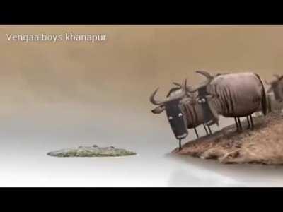 bull die full comedy vedio😂😂🤣🤣🤣