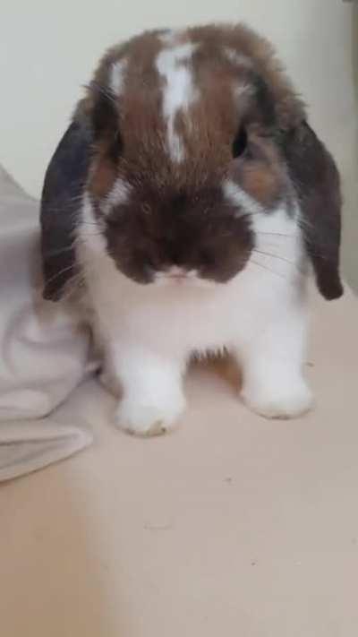 Archie had his first taste of fruit, I think he liked it