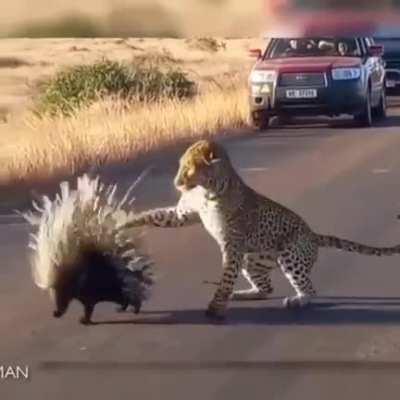 And there is only one thing we say to Death: 'not today