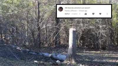 Video I found of a dude felling a tree with a single swing, walks off doesn't even look at it fall while staring in the camera. I dont know why but this video had me laughing my ass off.