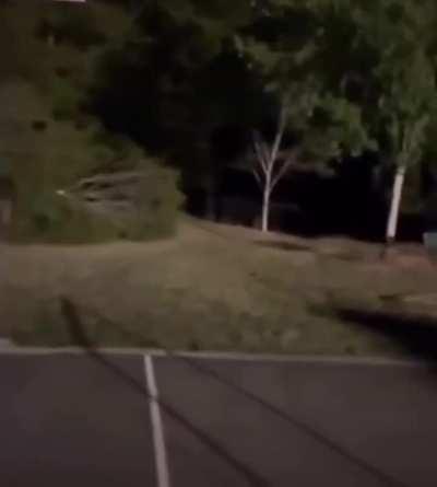 You never know what lurks in the dark