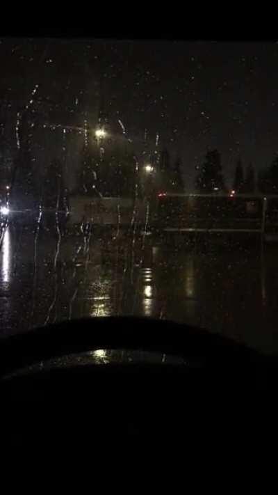 Being serenaded As I wait for the work truck to get unloaded. Los Angeles, CA.