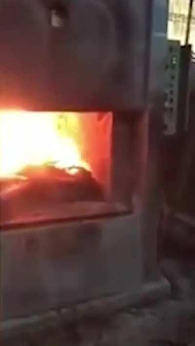 video subido por bullrich a tiktok, es cine