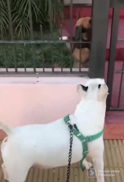 Should be more friendly to your neighbor