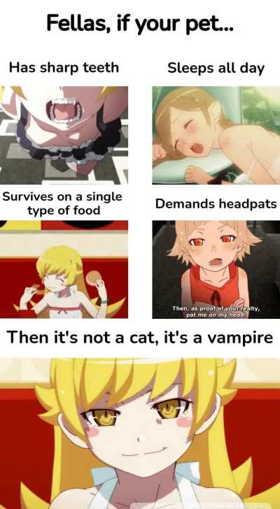 I hear they make great pets