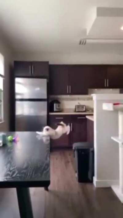 A small miscatculation