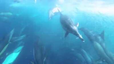 felt my entire asshole clench up for this one - that dude is HUGE