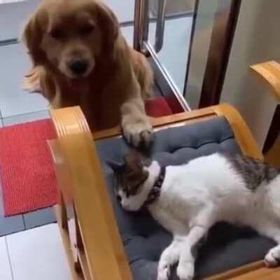 Too Pure For This World