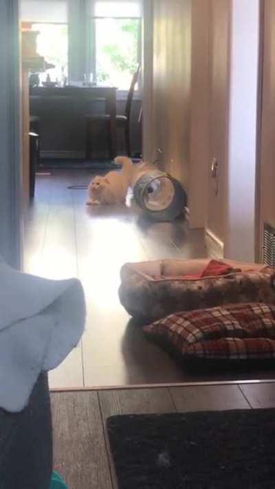 Lil hallway greebles