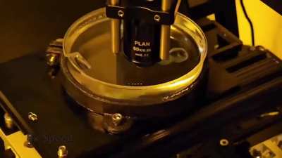 Volumetric 3D Printing (curing photoreactive resin across 3 dimensions simultaneously)