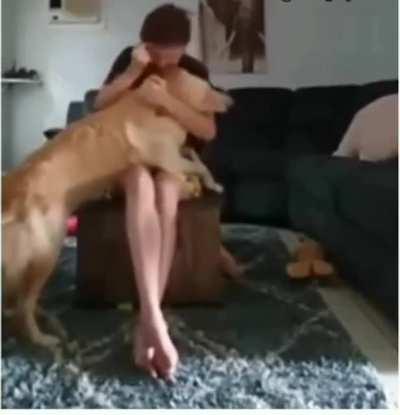 We don't deserve dogs.