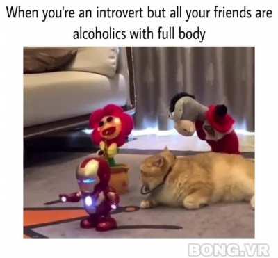 I'm just tryna chill