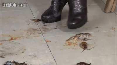 Jocelyn crush crd in boots