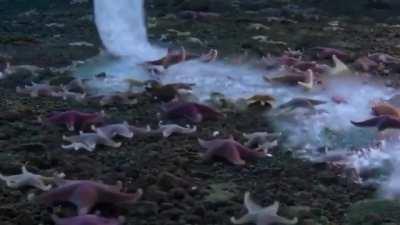🔥An underwater icicle, The Brinicle (or ‘finger of death’), that freezes everything in its path 🔥