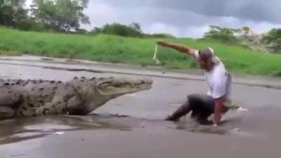 Let's Stand in Quick Sand and Tease the Dinosaur