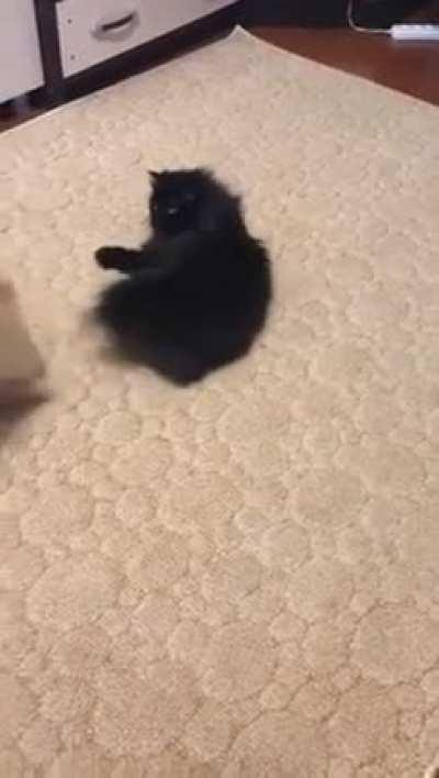 You want this? How about this?