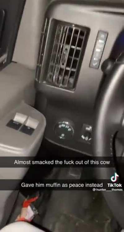 Living his best life