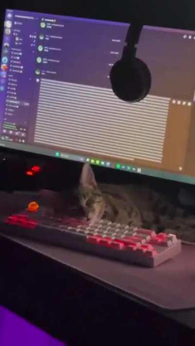 A sysadmin works even when he sleeps!