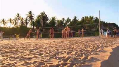 Topless Model Beach Volleyball