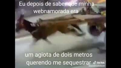 O titulo esta em outro lugar.