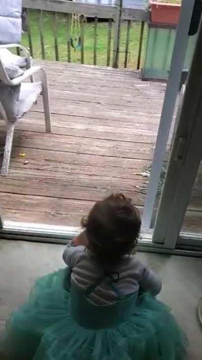 When you give a squirrel a nut...