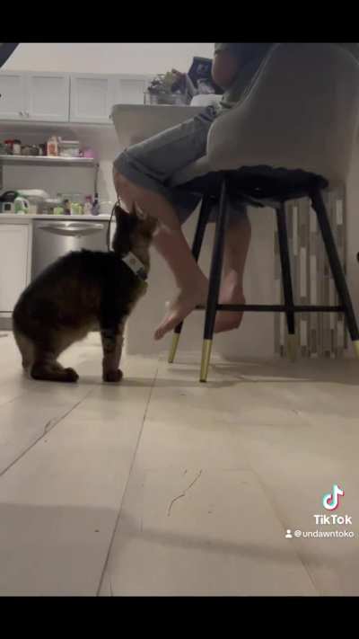 Just a Touch of Feed Me! 