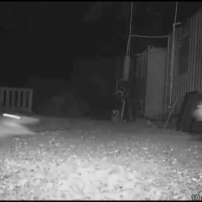 Guess who came to visit?