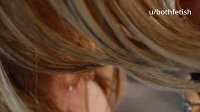 Las mascotas llevan correa