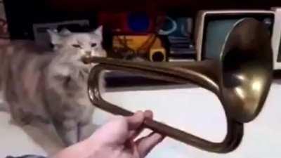 This car!! This cart relesed a an album!â ððð