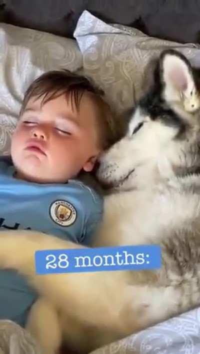 Child Growing Up With Husky, From Day One To 42 Months
