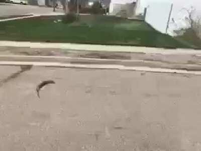 We truly are a society