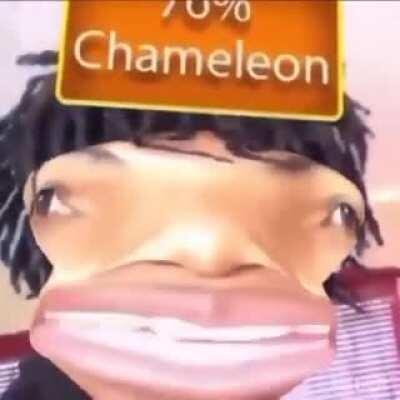 Chameleon