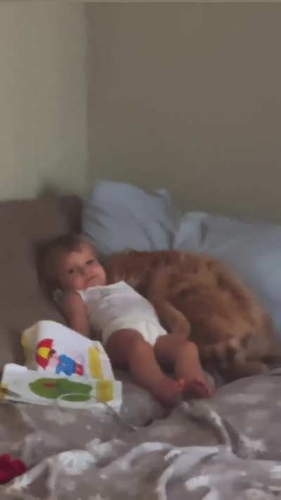 I wish I had a cat like this