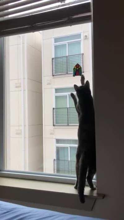 Touch Tha Stained Glass