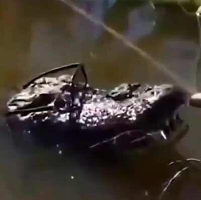 No amigo re fachero😎👌