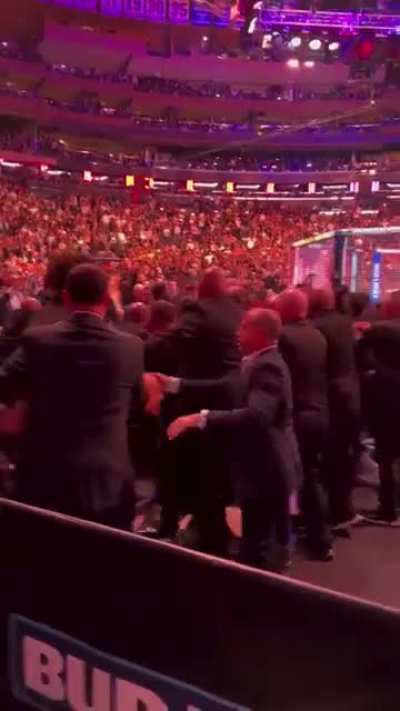 Crowd Scuffle at UFC Event in MSG