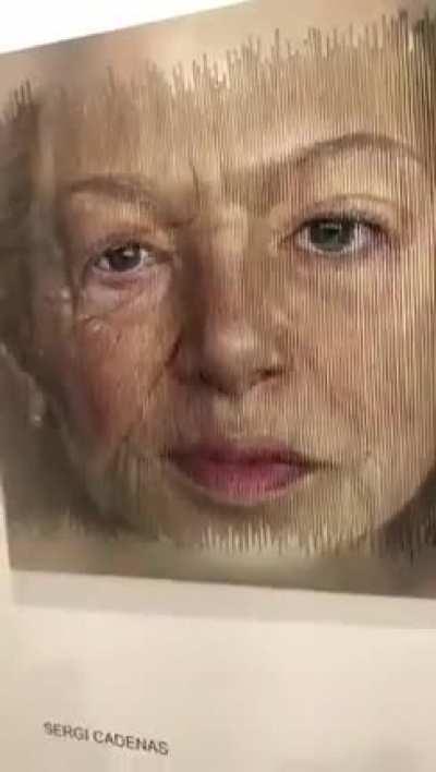 Artwork Transforming from Young to Elderly