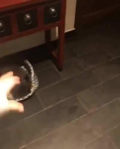 Compania es compania¿