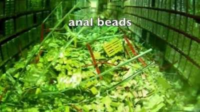 the twitch forklift incident